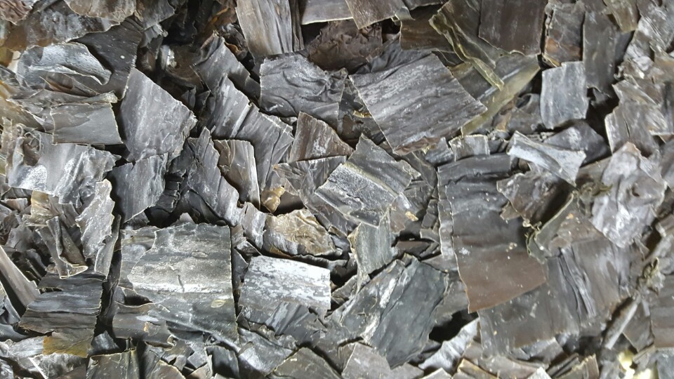 ڸٽø1.jpg