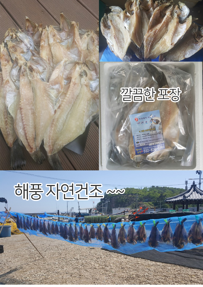 ݰ췰-.jpg